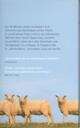 Peter Cameron - Du wirst schon sehen wozu es gut ist Rueckcover Peter Cameron - Du wirst schon sehen wozu es gut ist